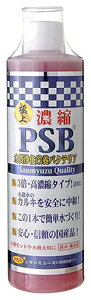 Zk PSB 500ml  T~[Y mEVN PSB 500ML