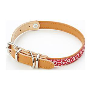   M bh yeBI PJNTNrM RD