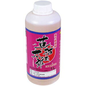 VZC ͂ꑾY _knp 1L 39500