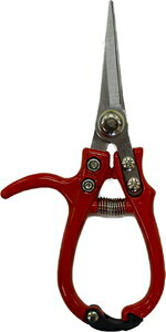 OWL ȉ؂͂ 170mm #556