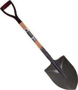 OWL JISԊۃVx ؕ #259