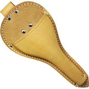 Forza tP[X 甒 FZ-65