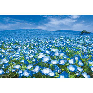 ̂܂ {̕i Ȃuij 300s[Xy03-911z WO\[pY