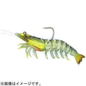 rZI XCxCgVv3C` 9g(ANA) VCSBS3002 VICEO