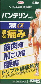 【第2類医薬品】バンテリンコーワ液α 45g 興和 バンテリンエキアルフア45G [バンテリンエキアルフア45G]【返品種別B】◆セルフメディケーション税制対象商品