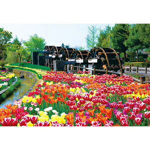 ̂܂ {̕i `[bv]ԌO](xR) 108[Ws[Xy01-2069z WO\[pY