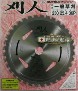 SAF l 230×36P 10075 ZteB[ @p`bv\[