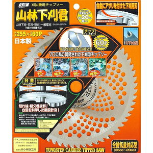 SAF �R�щ����N 255×60P 65772 �Z�t�e�B�[ �����@�p�`�b�v�\�[