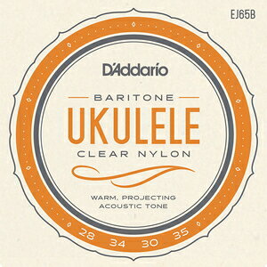 __I EN(og) EJ65B D'Addario Pro-Art Custom Extruded Nylon