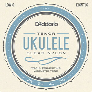 __I EN(ei[ Low G) EJ65TLG D'Addario Pro-Art Custom Extruded Nylon