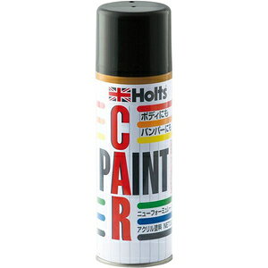 zc yCgXv[ Y G41 _ChubNp[ 300ml MH13095 Holts