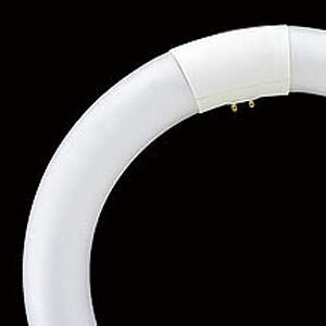 ���� 32�`�ی^�u�����E�����F FCL32ENC/30PDZ TOSHIBA �����EZ�v���C�h [FCL32ENC30PDZ]