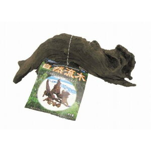 ANAEpi R  }J V[E{N VE