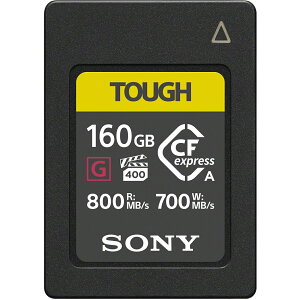 \j[ CFexpress Type A [J[h 160GB CEA-G160T