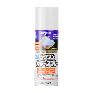 JynsI VRJ[Xv[ 420ml(zCg) 00507654082420 Kanpe Hapio