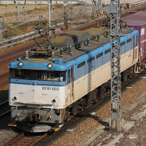 鉄道模型 アウトレット トミックス Nゲージ EF81-500形電気機関車 7144 JR 超激安