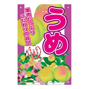 MIKI LOCOS ̊Ŕ ~(ځ`V[Y) K-110 ~LRX