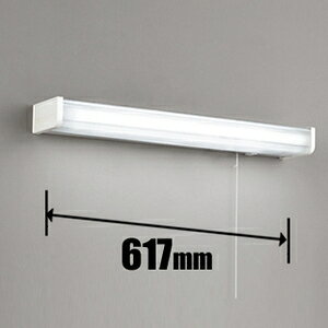 �I�[�f���b�N LED�L�b�`�����C�g�y�d�C�H����p�z OB255177R ODELIC [OB255177R]