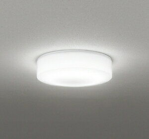 �I�[�f���b�N LED�|�[�`���C�g�y�d�C�H����p�z SH9122LD ODELIC [SH9122LD]