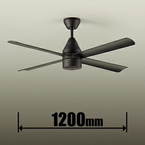 _CR[ V[Ot@ ASN-015 DAIKO [ASN015]