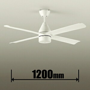 _CR[ V[Ot@ ASN-016 DAIKO [ASN016]