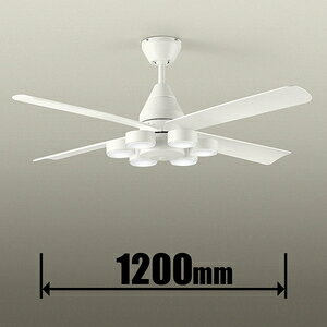 _CR[ 8`10p V[Ot@ ASL-616 DAIKO [ASL616]