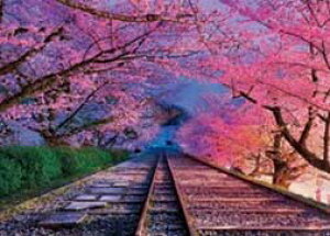 G|bN {̕i ̏RCNC(s) 500s[Xy05-123z WO\[pY