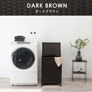 HAGIHARA() LX^[t[{bNX(_[NuEE50×s38×67cm) RUD-2422DBR [RUD2422DBR]