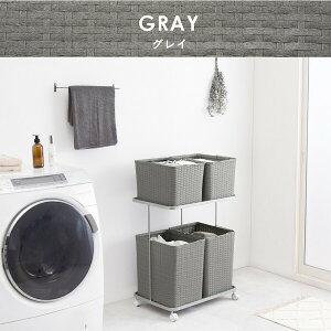 HAGIHARA() h[bN(O[E60×s40×97cm)oXPbg4^Cv RAN-2428GY Tj^[ ߗރbN@E߃JS [RAN2428GY]