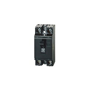 pi\jbN Su[J[ 100V 20A BS-1112P Panasonic [BS1112P]