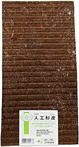 `X lH 20cm×40cm T029 