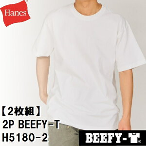 wCY y2gz r[tB[TVcizCgETCYFLj HA-H5180-2-010-L Hanes 20FW BEEFY-T jZbNX