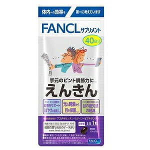 t@P 񂫂 4040 t@P tAPGL40j`40cu
