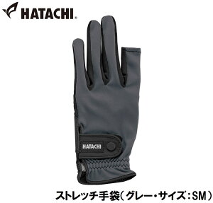 n^` Xgb`܁iO[ETCYFSMj HAC-BH8080-05-SM HATACHI@OEhStpi