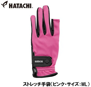 n^` Xgb`܁isNETCYFMLj HAC-BH8080-64-ML HATACHI@OEhStpi