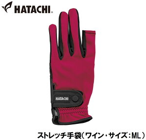 n^` Xgb`܁iCETCYFMLj HAC-BH8080-66-ML HATACHI@OEhStpi