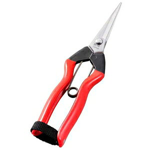 �z�H �X�e�����X �E����(�n��50mm) K-9