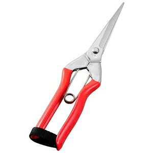 �z�H �X�e�����X �n���E����(�n��70mm) S-2