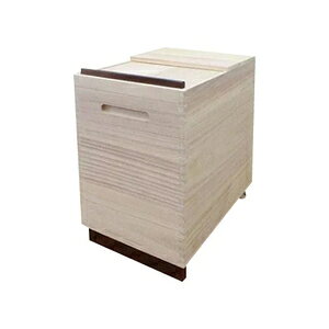 IX}bN ːRice Box 30kgp RPO-30 ğC@Ăт [RPO30IX}cN]