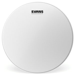 �G���@���X �X�l�A�h�����w�b�h B14ST/ST-CTD EVANS ST