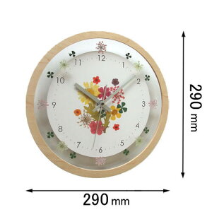 �t�H�[�J�X�E�X���[ �d�g�|�����v Focus Three�@�{�^�j�J�N���b�N�i�i�`�������j V-0058(NA)�f���p [V0058NA�f���p]�y�ԕi���A�z