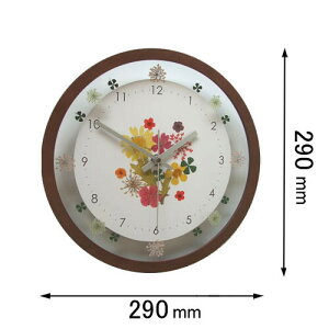 �t�H�[�J�X�E�X���[ �|�����v Focus Three�@�{�^�j�J�N���b�N�i�u���E���j V-0059(BR)�X�C-�v [V0059BR�X�C�v]�y�ԕi���A�z