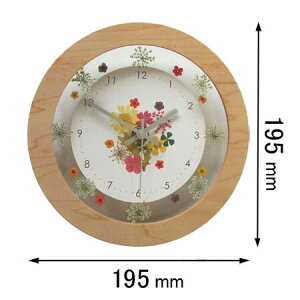 �t�H�[�J�X�E�X���[ �d�g�|�����v Focus Three�@�{�^�j�J�N���b�N�i�i�`�������j V-0060(NA)�f���p [V0060NA�f���p]�y�ԕi���A�z