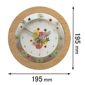 �t�H�[�J�X�E�X���[ �|�����v Focus Three�@�{�^�j�J�N���b�N�i�i�`�������j V-0061(NA)�X�C-�v [V0061NA�X�C�v]�y�ԕi���A�z