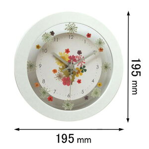 �t�H�[�J�X�E�X���[ �|�����v Focus Three�@�{�^�j�J�N���b�N�i�z���C�g�j V-0061(WH)�X�C-�v [V0061WH�X�C�v]�y�ԕi���A�z