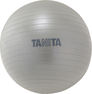TS-962 タニタ ジムボール　65cm（シルバー） TANITA バランスボール [TS962]