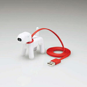 GR 200fWebJgwancohizCgj UCAM-C525FBWH