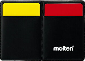 e TbJ[@xJ[hP[XZbg MT-QF0060 Molten