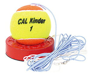 TNCf dejXg[i[iWjApj TT-31 CALFLEX JtbNX