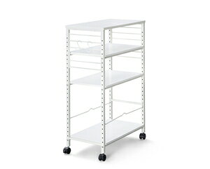 ACXI[} fXNTChS(zCg) DSW-600zCg IRIS [DSW600zCg]